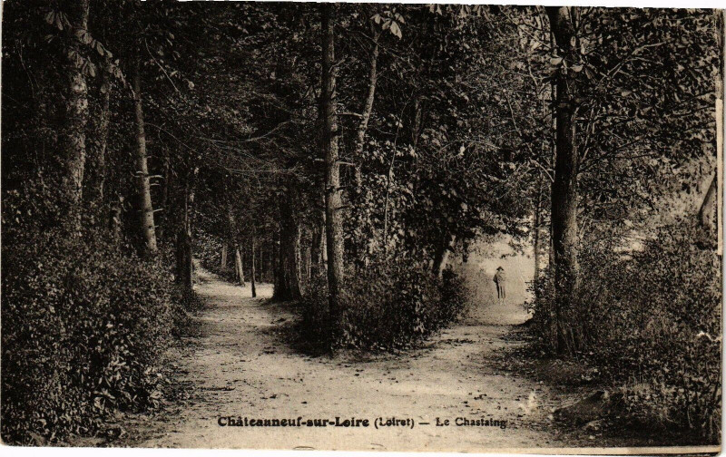 Carte postale ancienne Chateauneuf-sur-Loire-Le Chastaing