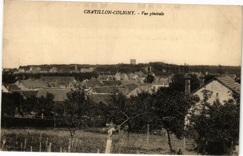 Carte postale ancienne Chatillon Coligny-Vue générale à Châtillon-Coligny