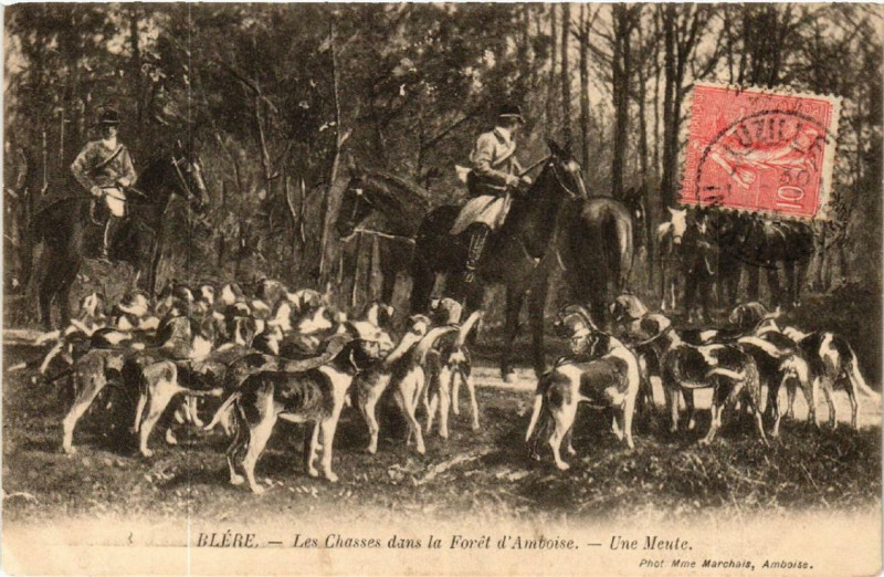 Carte postale ancienne Blere Les Chasses dans la Foret d'Amboise à Bléré