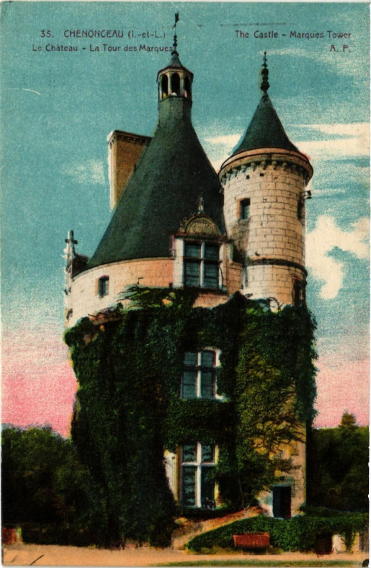 Carte postale ancienne Chenonceaux - Le Chateau à Chenonceaux