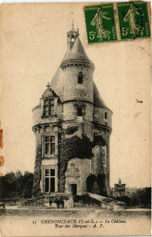 Carte postale ancienne Chenonceaux - Le Chateau à Chenonceaux