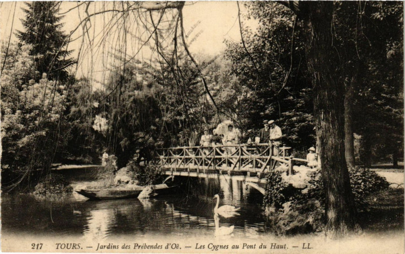 Carte postale ancienne Tours - Jardin des Prébendes d'Oé - Les Cygnes au Pont du Haut à Tours