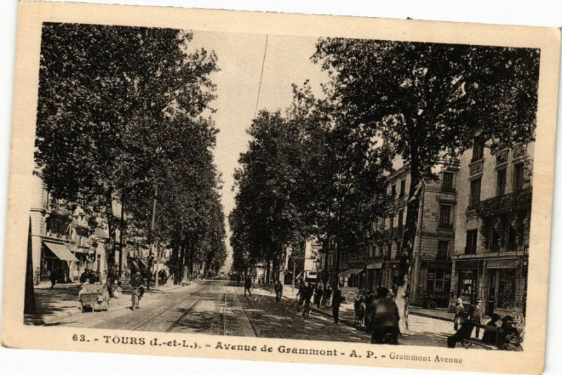 Carte postale ancienne Tours-Avenue de Grammont à Tours