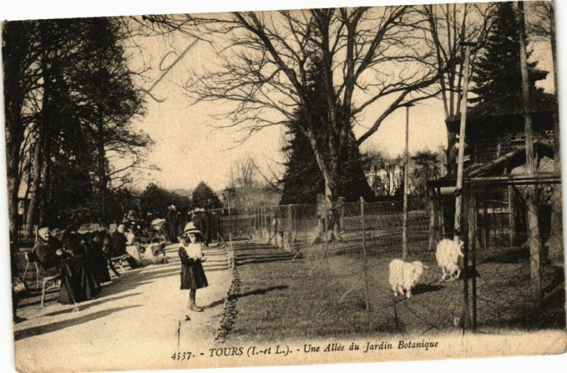 Carte postale ancienne Tours-Une Allée du Jardin Botanique à Tours