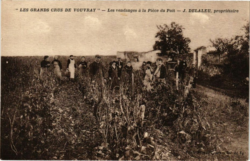 Carte postale ancienne Vouvray - Les Vendages a la Piece du Puit à Vouvray