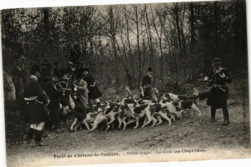 Carte postale ancienne Forét de Cháteau-la-Valliére -Rallye-Juigné-Lacurée aux Cinq-Chénes à Château-la-Vallière