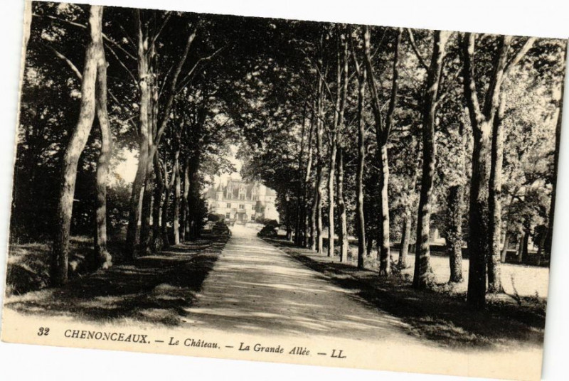 Carte postale ancienne Chenonceaux - Le Chateau - La Grande Allée à Chenonceaux