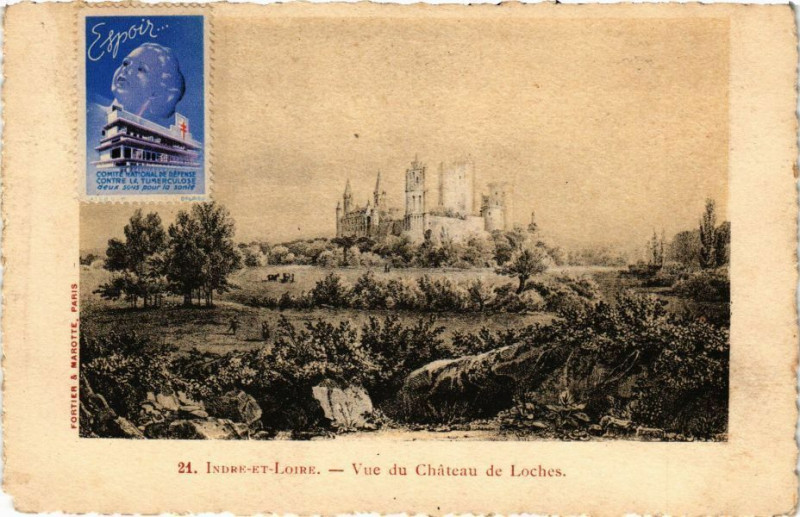 Carte postale ancienne Indre-et-Loire - Vue du Chateau de Loches à Loches