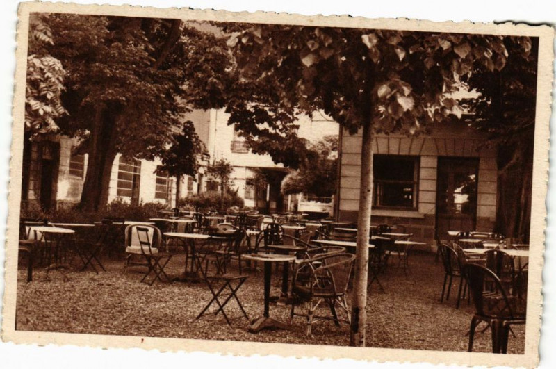 Carte postale ancienne Langeais - Le Family Hotel - La Terrasse et le à Langeais