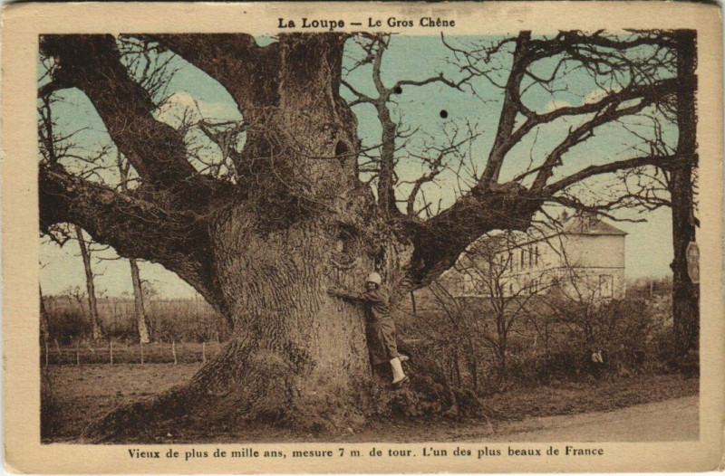 Carte postale ancienne La Loupe - Le Gros Cheme à La Loupe