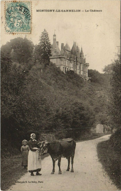Carte postale ancienne Montigny-le-Gannelon-Le Chateau