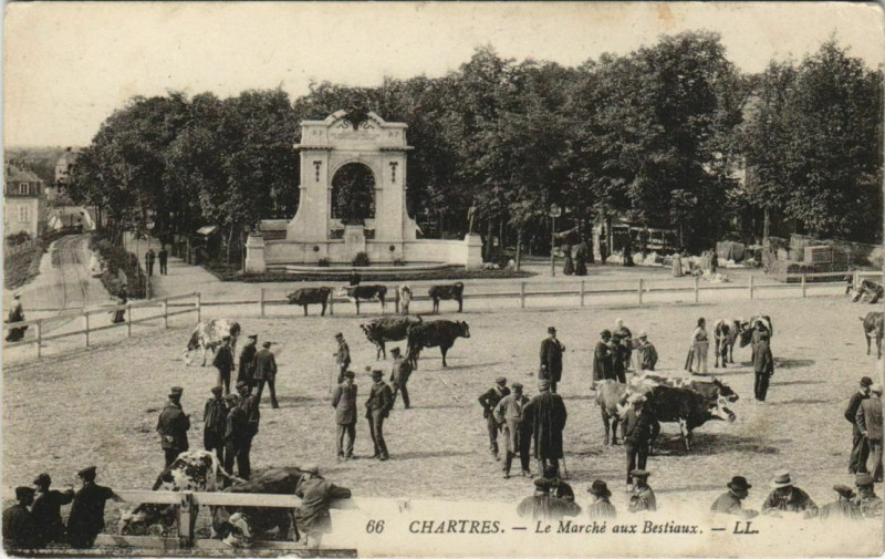 Carte postale ancienne Chartres - La Marché aux bestiaux à Chartres