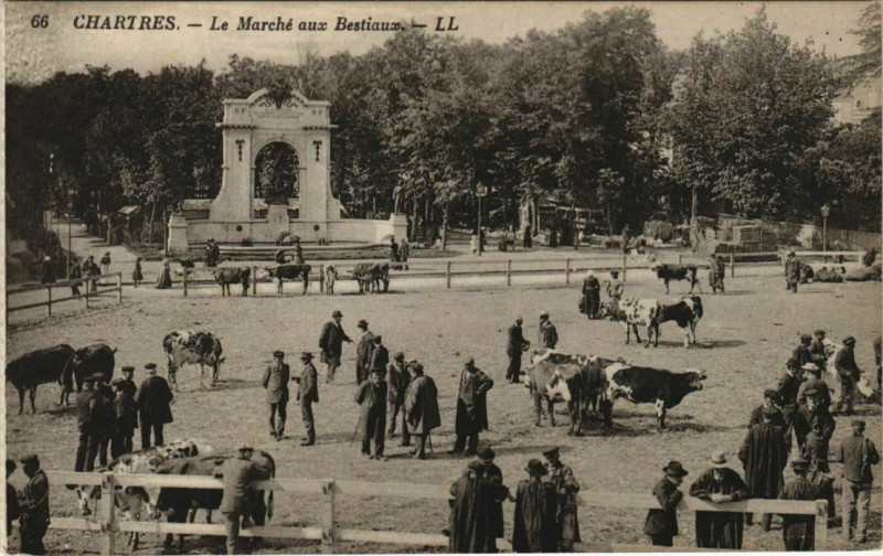 Carte postale ancienne Chartres - La Marché aux Bestiaux. à Chartres