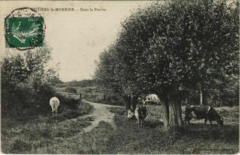 Carte postale ancienne Villiers-le-Monhier - Dans la Prairie