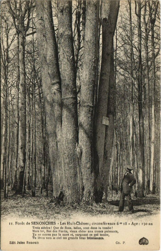Carte postale ancienne Foret de Senonches Les Huit/Chenes à Senonches