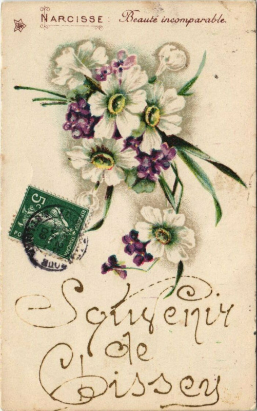Carte postale ancienne Narcisse - Beauté incomparable - Souvenir de Cissey
