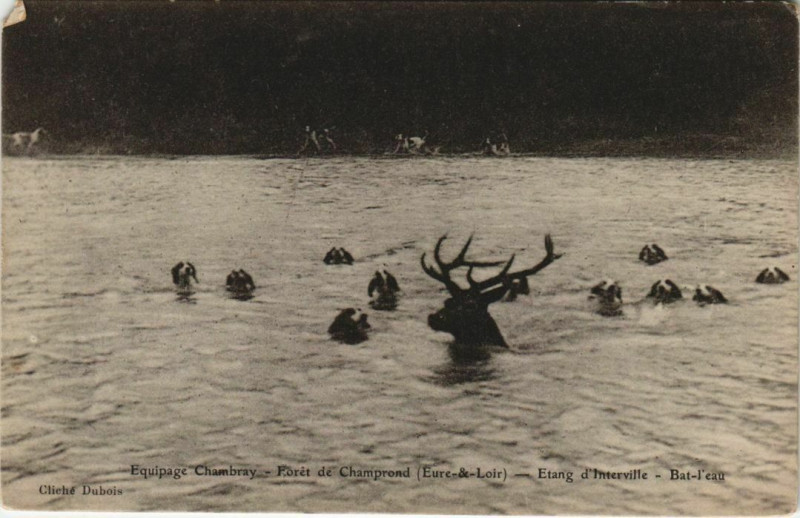 Carte postale ancienne Equipage Chambray - Foret de Champrond (Eure-&-Loir) - Etang