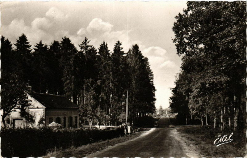 Carte postale ancienne Senonches - Entrée de la Foret - Route de La Loupe à Senonches