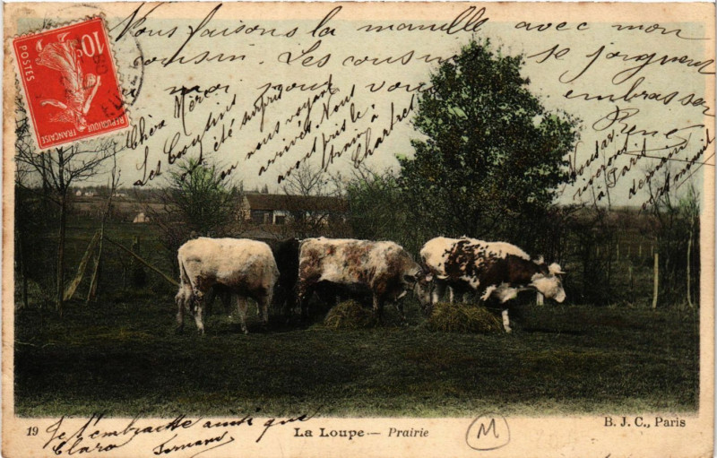 Carte postale ancienne La Loupe - Prairie à La Loupe