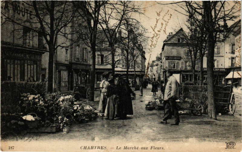 Carte postale ancienne Chartres - Le Marché aux Fleurs à Chartres