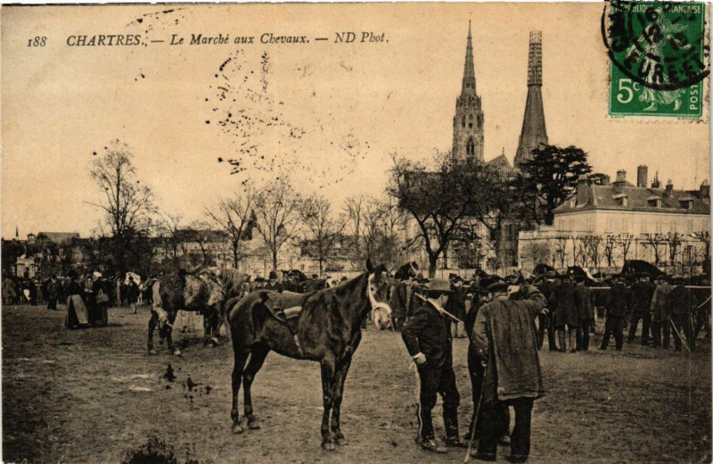 Carte postale ancienne Chartres - Le Marché aux Chevaux à Chartres