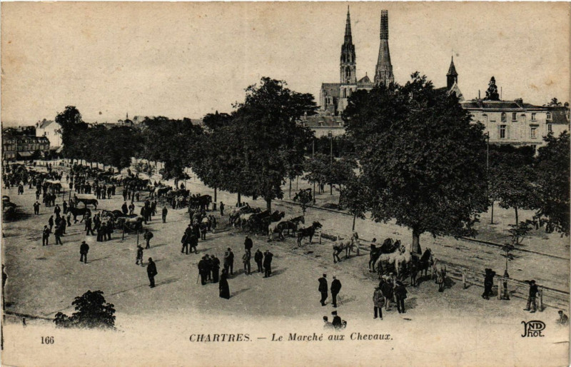 Carte postale ancienne Chartres - Le Marché aux Chevaux à Chartres