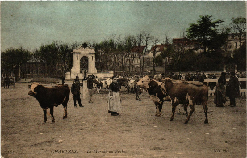 Carte postale ancienne Chartres - Le Marché au Vaches à Chartres