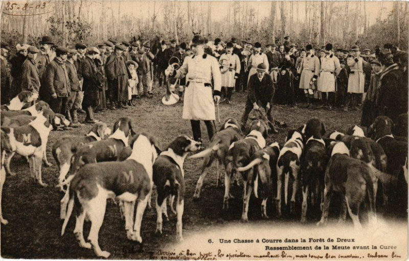 Carte postale ancienne Une Chasse é Courre dans la Forét de Dreux à Dreux