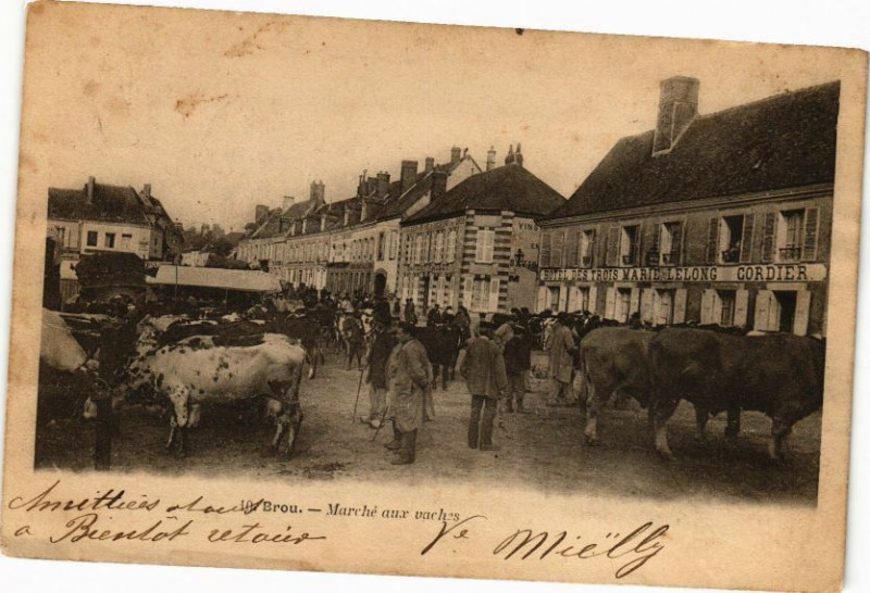 Carte postale ancienne Brou - Marché aux vaches à Brou