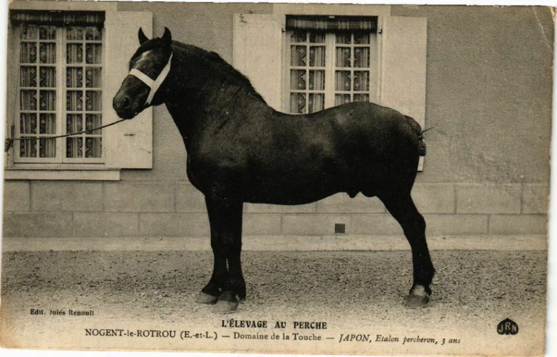 Carte postale ancienne L'elevage au Perche Nogent-le-Rotrou Domaine de la Touche à Nogent-le-Rotrou