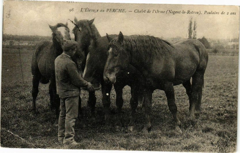 Carte postale ancienne L'elevage au Perche - Chalet de l'Orme (Nogent-le-Rotrou) à Nogent-le-Rotrou