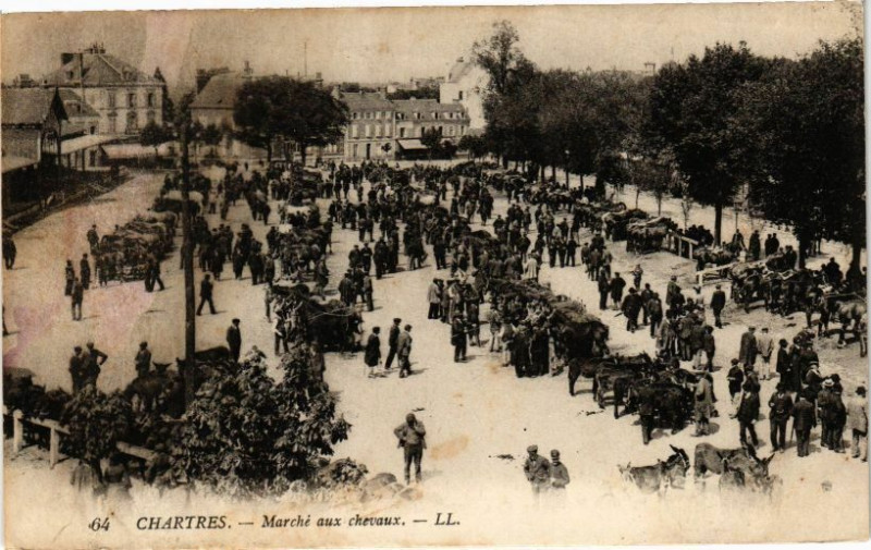Carte postale ancienne Chartres-Marché aux chevaux à Chartres