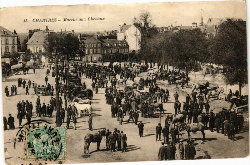 Carte postale ancienne Chartres-Marché aux Chevaux à Chartres