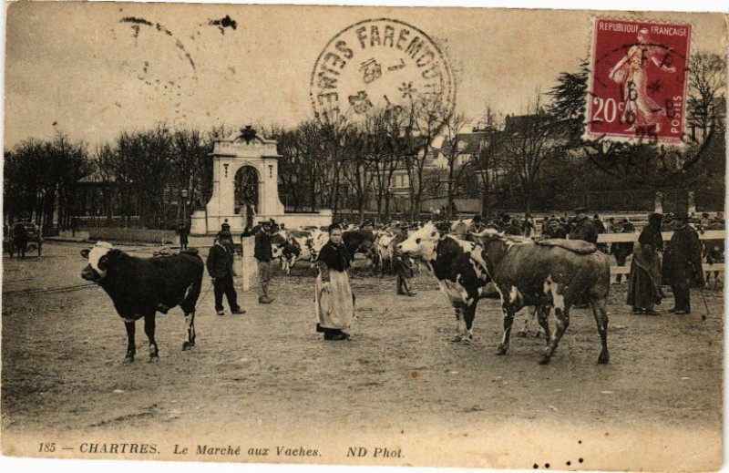 Carte postale ancienne Chartres-Le Marché aux Vaches à Chartres