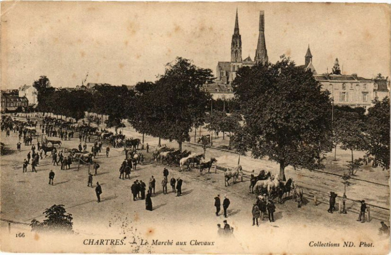 Carte postale ancienne Chartres-Le Marché aux Chevaux à Chartres