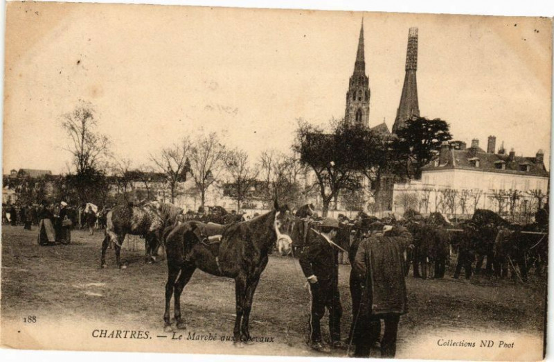 Carte postale ancienne Chartres-Le Marché aux Chevaux à Chartres