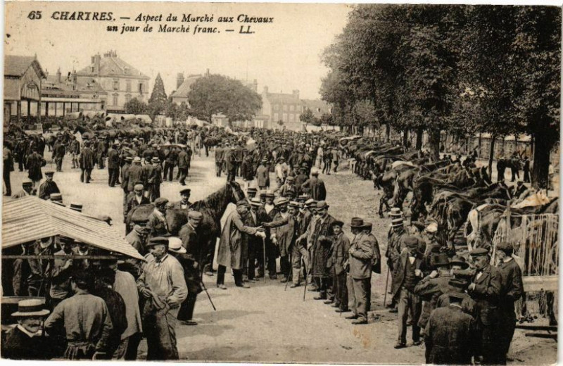 Carte postale ancienne Chartres-Aspect du Marché aux Chevaux un jour de Marché franc à Chartres