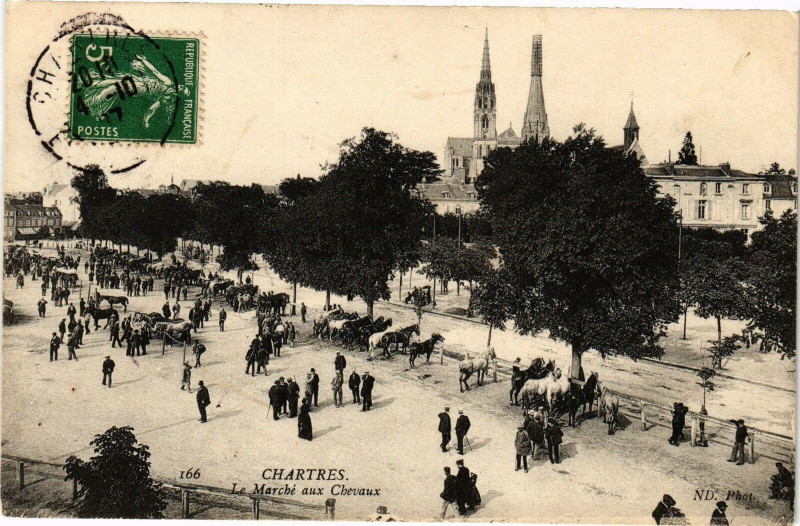 Carte postale ancienne Chartres - Le Marché aux Chevaux à Chartres