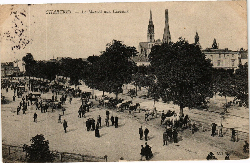 Carte postale ancienne Chartres-Le Marché aux Chevaux à Chartres