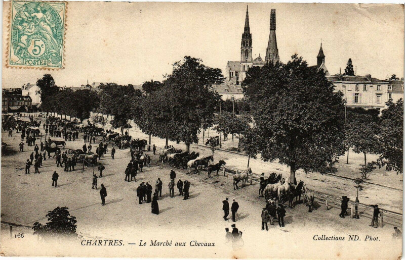 Carte postale ancienne Chartres-Le Marché aux Chevaux à Chartres