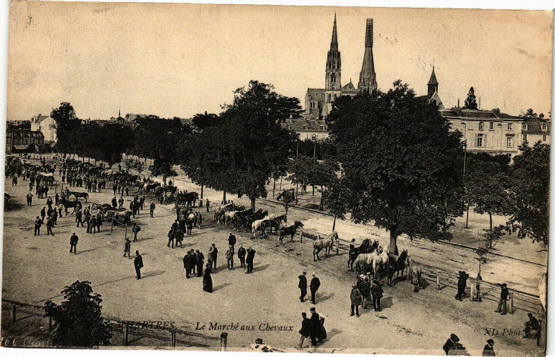 Carte postale ancienne Chartres-Le Marché aux Chevaux à Chartres