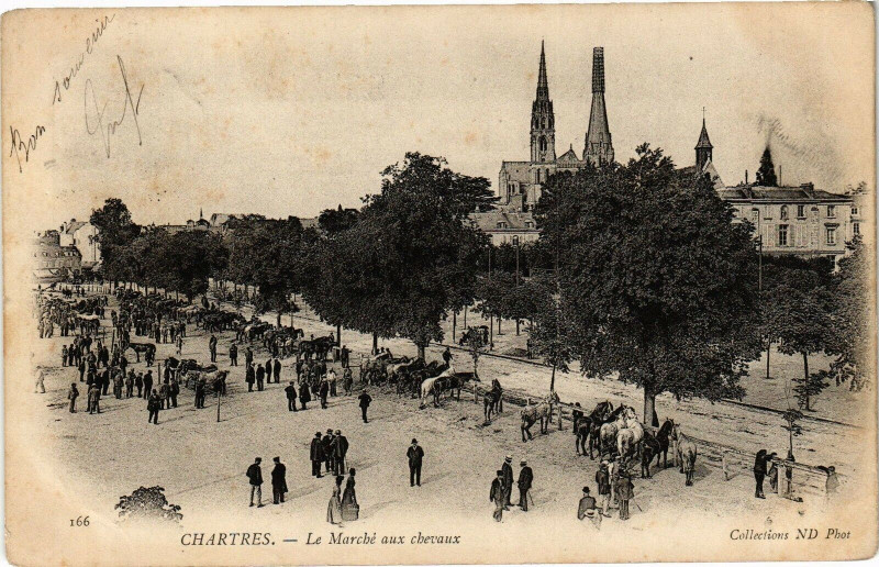 Carte postale ancienne Chartres - Le Marché aux chevaux à Chartres