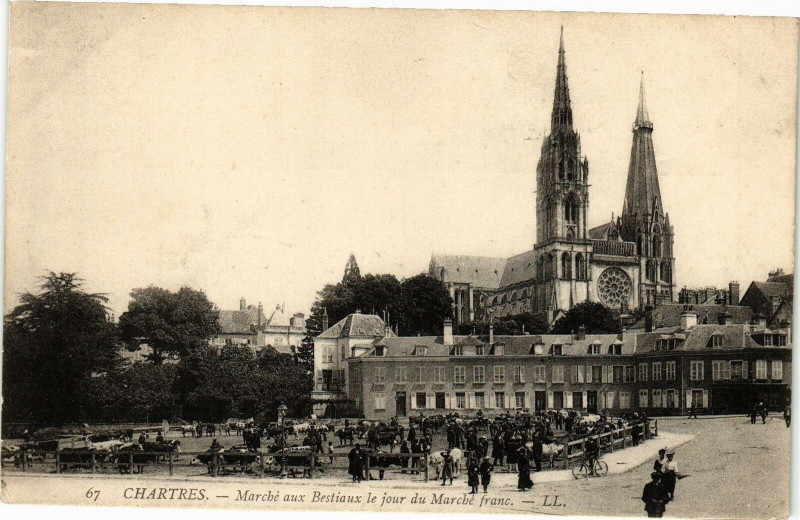 Carte postale ancienne Chartres Marché aux Bestioux le jour du Marché franc à Chartres