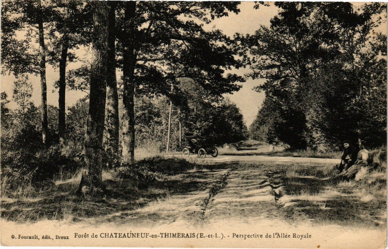 Carte postale ancienne Forét de Chateauneuf-en.Thimerais - Perspective de l'Allée.