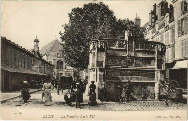 Carte postale ancienne Blois-La Fontaine Louis Xii à Blois