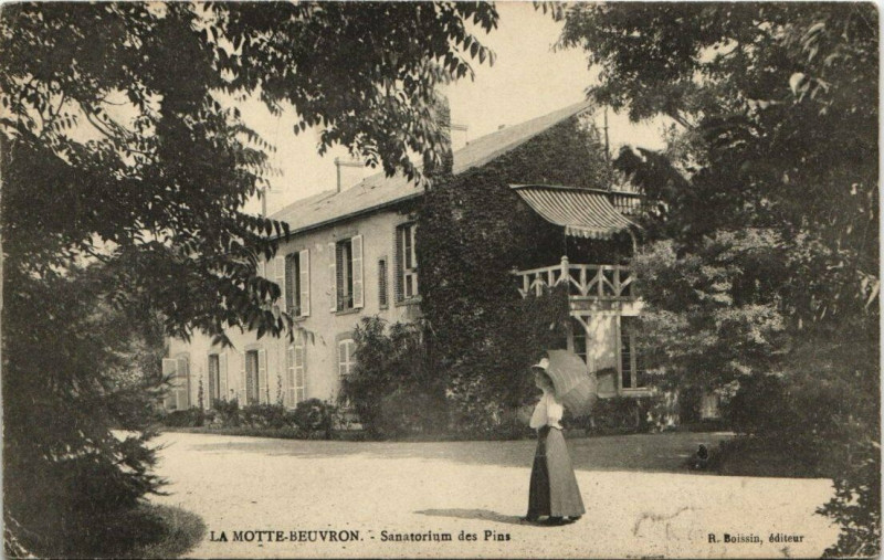 Carte postale ancienne La Motte Beuvron-Sanatorium des Pins