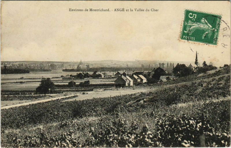Carte postale ancienne Montrichard-Ange et la Vallée du Cher