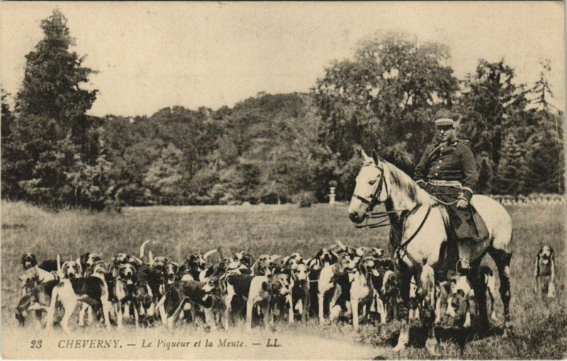 Carte postale ancienne Cheverny - Le Piqueur et la Meute à Cheverny