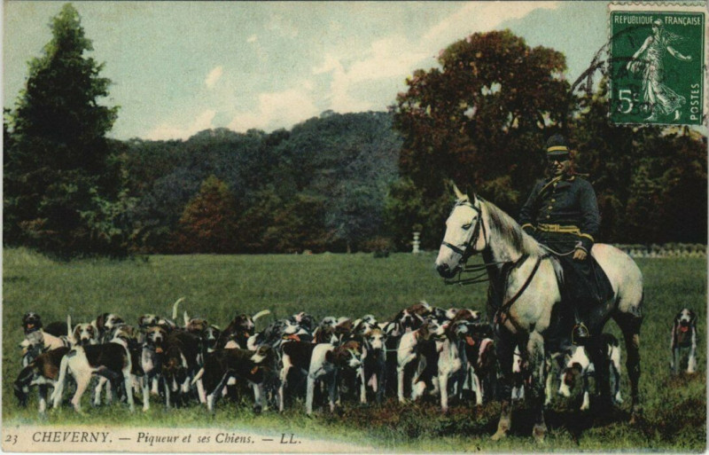 Carte postale ancienne Cheverny - Piqueur et ses Chiens à Cheverny