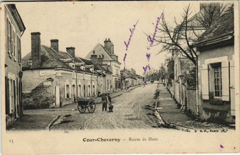 Carte postale ancienne Cour-Cheverny - Route de Blois à Cour-Cheverny